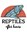 Reptiles After Hours