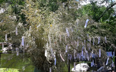 Tanabata Wish-Making Station