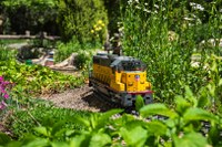 Train Tracks in your Garden Show