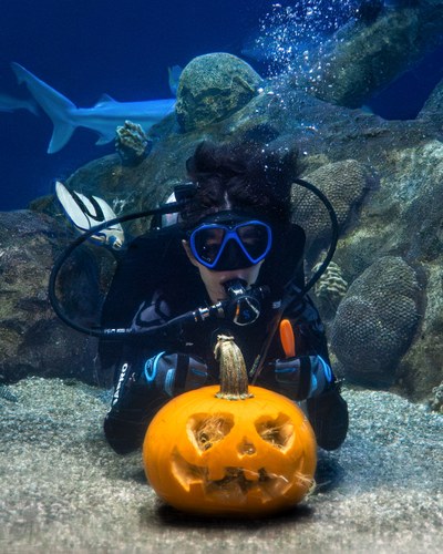 Underwater Pumpkin Carving