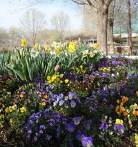IMG_0970.jpg IMG_0970.jpg