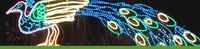 River of Lights banner River of Lights banner