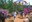 bg_butterfly1.jpg