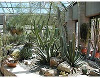 bg_desertcons.jpg bg_desertcons.jpg