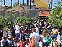butterfly-crowd.jpg butterfly-crowd.jpg