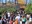 butterfly-crowd.jpg
