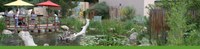 Dragonfly Sanctuary Pond Banner Dragonfly Sanctuary Pond Banner