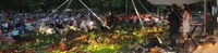 Summer Nights Banner Summer Nights Banner