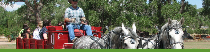 Wagon Ride at the Heritage Farm