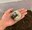 Hercules Beetle Larva