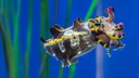 Aquarium header May 2026