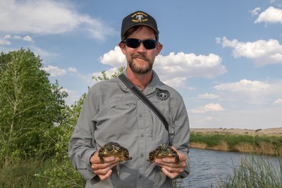 Leland Pierce, NM Department of Game and Fish, holds two of the turtles at the Black River release site. Photo courtesy of Ana Sapp