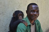 caption:Abidjan keeper with young chimpanzee