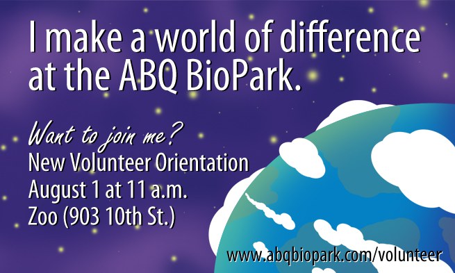 Volunteer World Invite