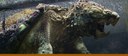 Alligator snapping turtle banner