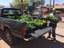 Anita from Agricultura
