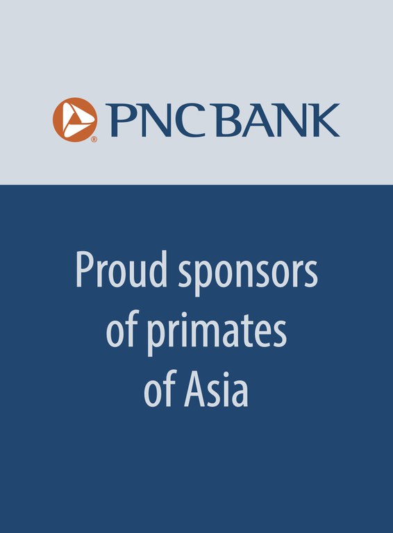 Asia Donor PNC
