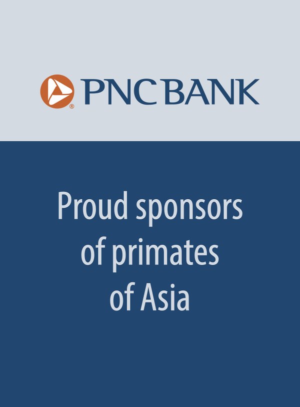 PNC logo