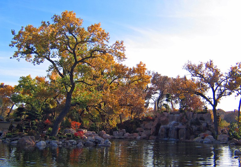 Fall in the Japanese Garden, Dreamstime photo