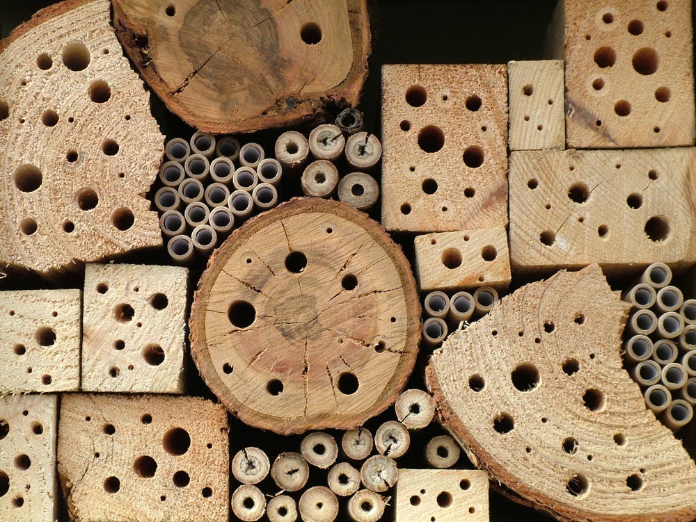 Sample bee hotel