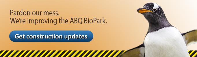 BioPark Construction Updates