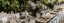 Bio Park Rentals - Top