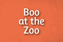 Boo at the Zoo Events Web Tile