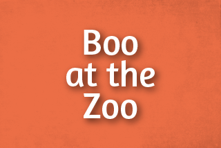 Boo at the Zoo Events Web Tile