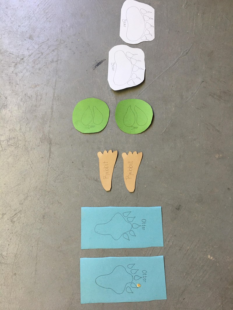 BioPark Connect Animal Tracks Activity