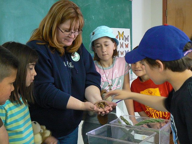 Teacher with Tarantula