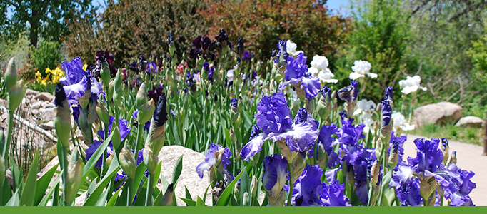 Camino de Colores, Botanic Garden