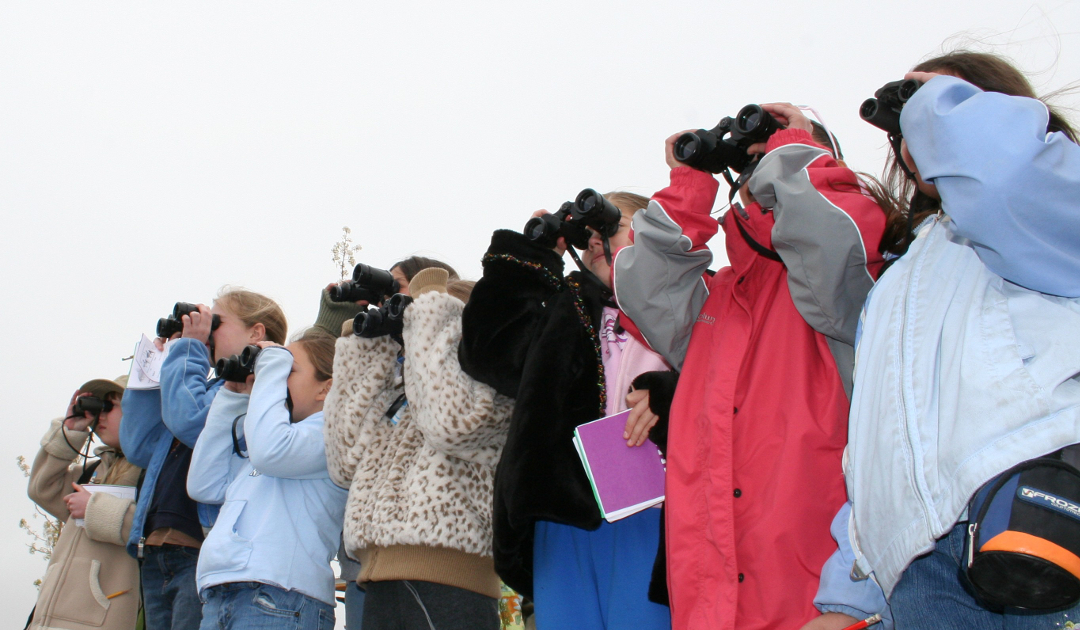 Become a Citizen Scientist