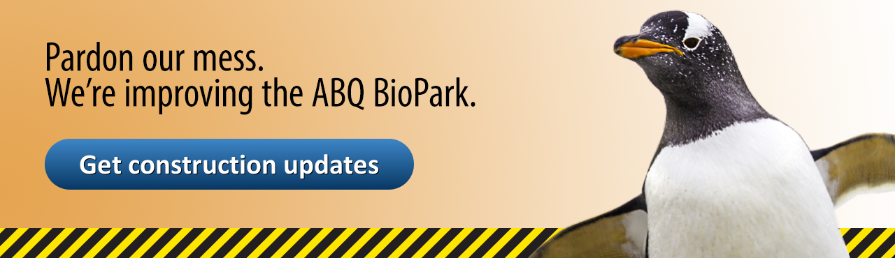 BioPark Construction Homepage Banner