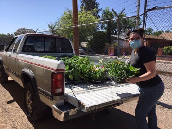 Crossroads for Women picking up plants at Botanic Garden, May 2020.