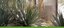 Desert Plants Tour Banner