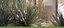 Desert Plants Tour Banner