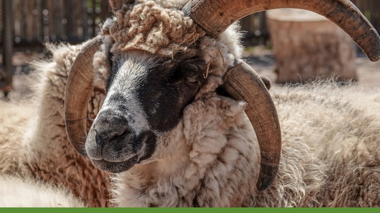 Heritage Farm banner2