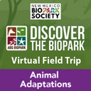 Discover the BioPark Icon Adaptations Programs
