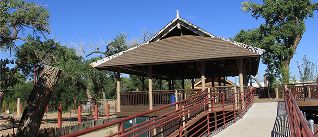 Asian Elephant Observation Deck