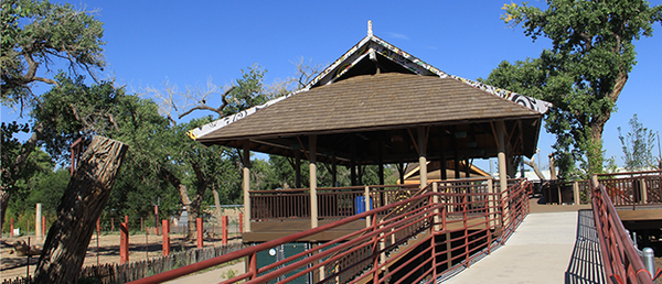 Asian Elephant Observation Deck Asian Elephant Observation Deck