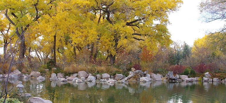 Fall Colors at the Botanic Garden