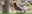 Botanic Garden Banner Bird Tours