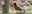 Botanic Garden Banner Bird Tours