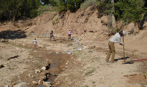 Ghost Ranch restoration project 2018. BioPark staff working.