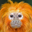 Golden Lion Tamarin Headshot Animal Yearbook