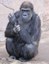 Huerfanita gorilla cropped
