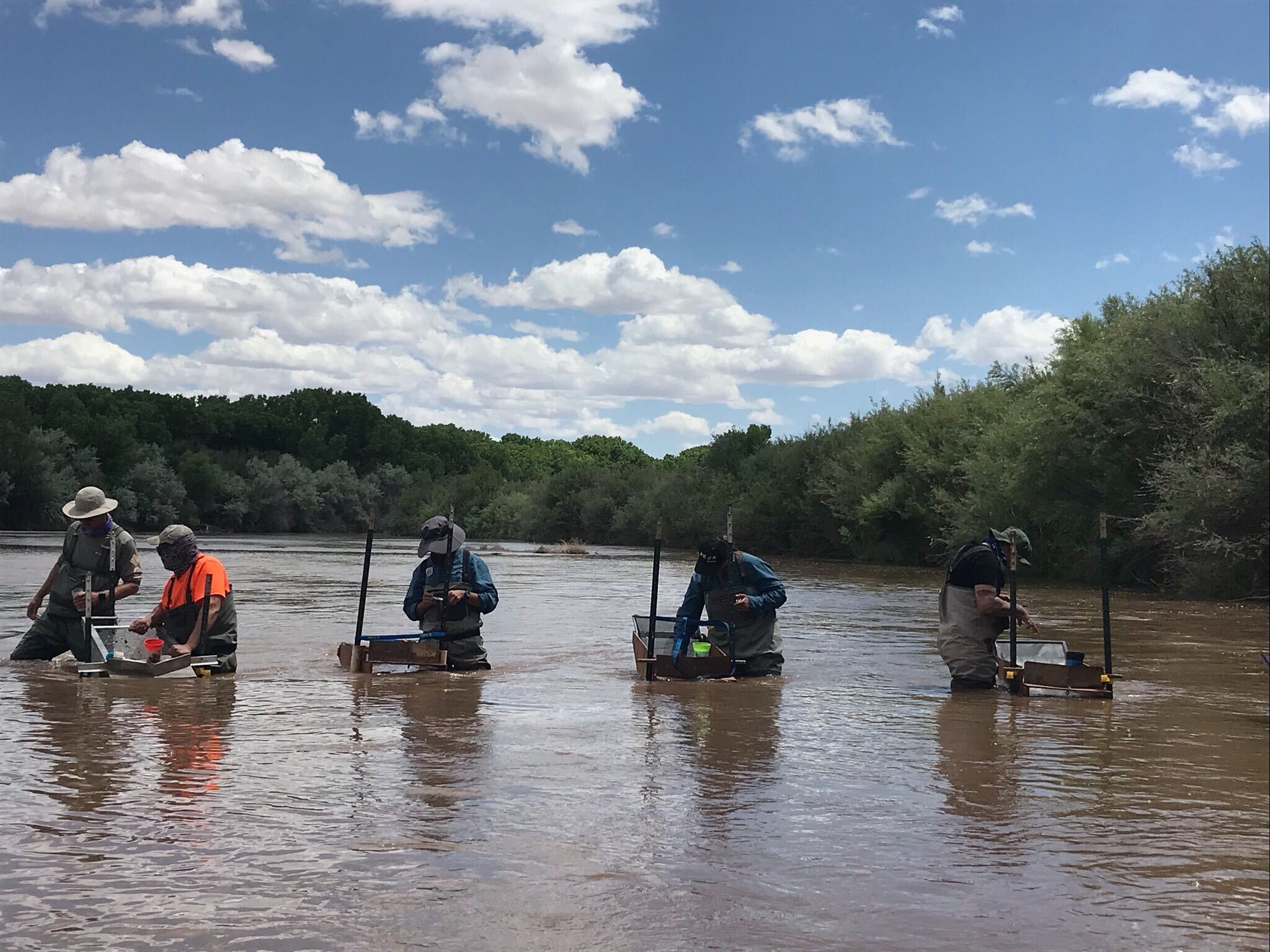 Silvery Minnow Collection Spring 2020 (Image 3, various staff members)