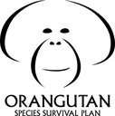 Orangutan SSP logo