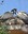 Cape Vultures