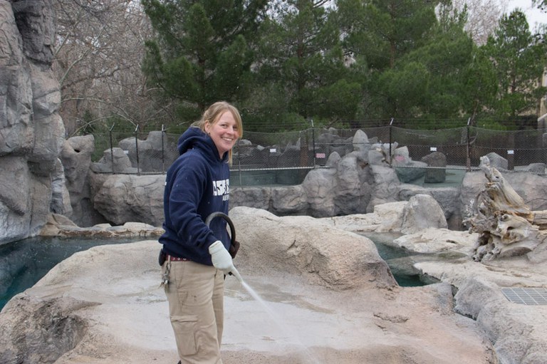 Jenn cleaning polar bear exhibit 